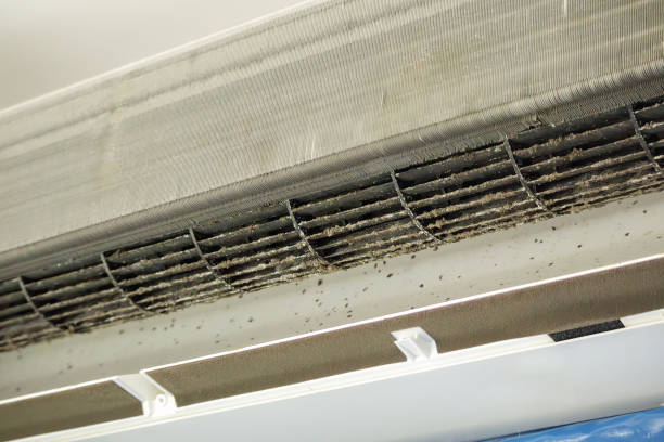 Best Dryer Vent Cleaning in Orland, CA